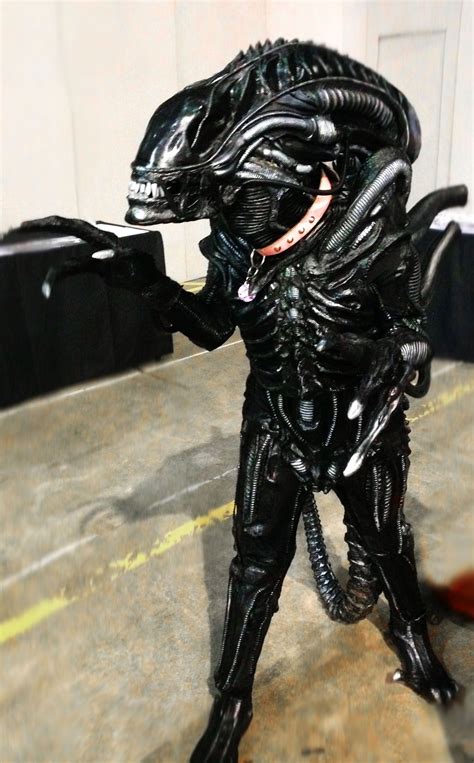 The terrifying Xenomorph, tamed with a collar... | Best cosplay, Comicon, Xenomorph