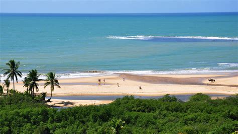 Bahia / Best time to go to Salvador de Bahia: Climate and Weather. The 7 months to avoid! - pdcyuk