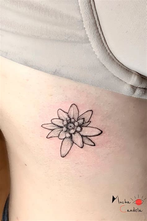 Edelweiss tattoo | Tatuajes populares, Tatoo flowers, Tatuaje texto