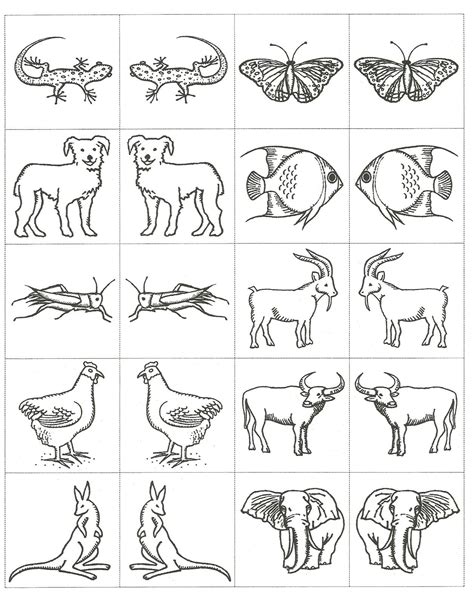 Noah's Ark Animals Printable