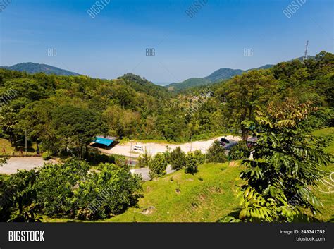 Tropical Fruit Farm Image & Photo (Free Trial) | Bigstock