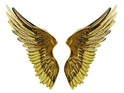 Angel Gold Wings PNG Cutout Image (Isolated-Objects) | Textures for ...