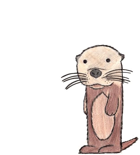 Otter Drawing by Paranormallity on DeviantArt