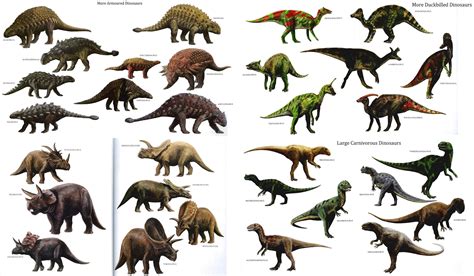 Different Types: Dinosaurs Different Types