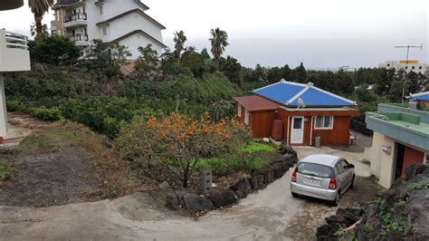 Best Place to Stay in Jeju Island: Unique Countryside Airbnb Stay!