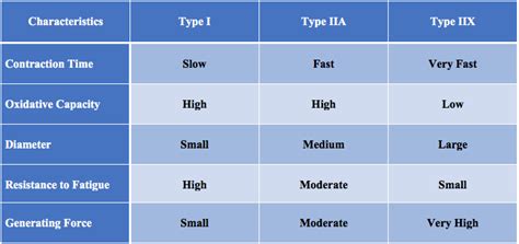 Training the 3 Different Muscle Fiber Types