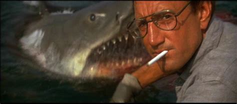 Chief Brody Jaws Quotes. QuotesGram