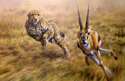 Chase is On, Cheetah Chasing Gazelle Fine Art Print, Signed Limited Edition by Andrew Ellis - Etsy