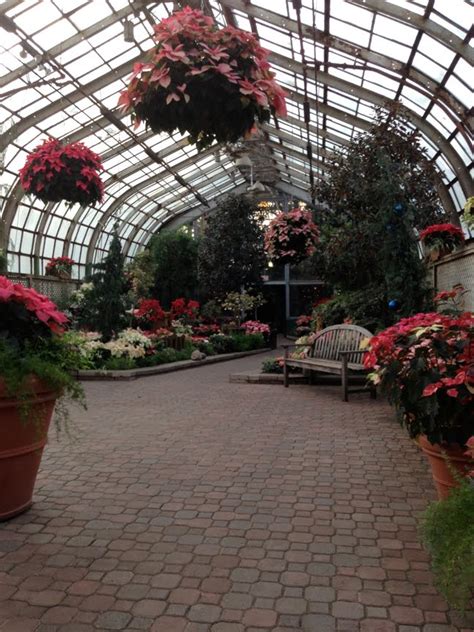 Blog for a travelin' man: Lincoln Park Conservatory (winter) #3