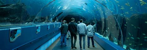 Georgia Aquarium Group Tickets | Non-Profit Groups