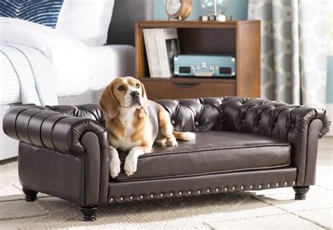 Dog Furniture | Wayfair