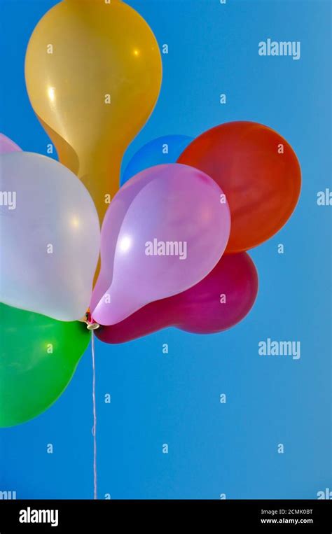 Multicolored rubber balloons Stock Photo - Alamy