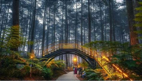 6 Tempat Wisata Terkenal di Lembang Bandung yang Jadi Favorit Wisatawan - halobdg.com