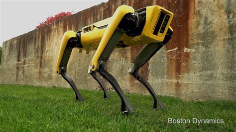 This New Robot Dog Has a Playful Spirit - YouTube