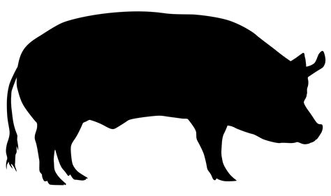 Domestic pig Cattle Sheep Silhouette - pig png download - 2480*1472 - Free Transparent Domestic ...