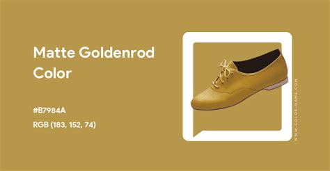 Matte Goldenrod color hex code is #B7984A