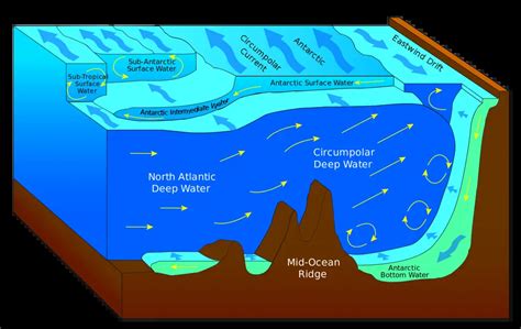 Arctic Ocean Facts for Kids - Information About Arctic Ocean