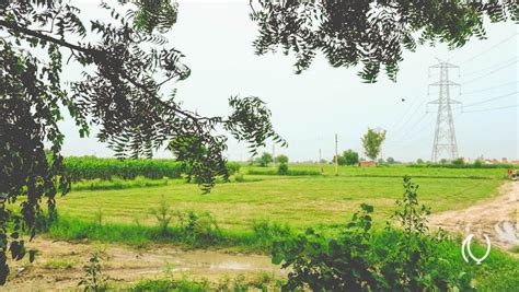 Village Visit, Haryana – Naina.co