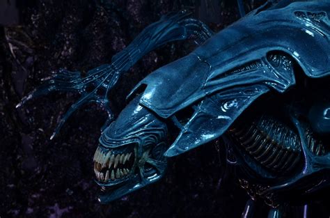 NECA Reveals Aliens Queen Ultra Deluxe Figure - The Toyark - News