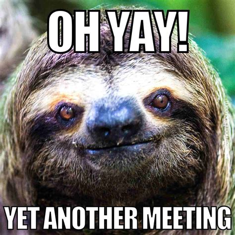 50+ Hilarious Meeting Memes for Every Workplace Scenario