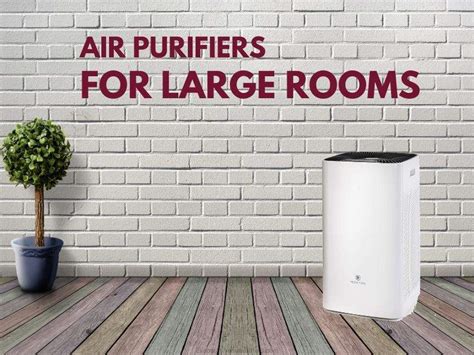 5 Best Air Purifiers for Large Rooms And How to Buy One?