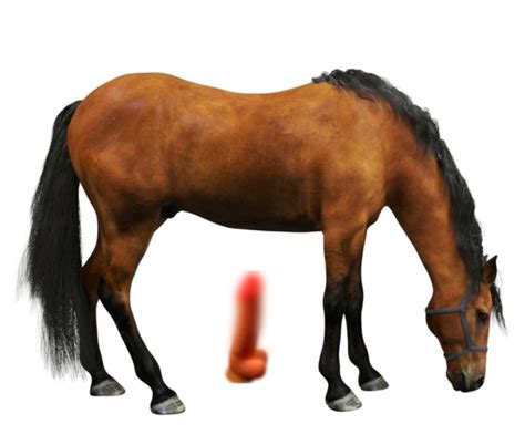 Create meme "horse" - Pictures - Meme-arsenal.com