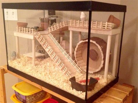 30Diy Hamster House Diy Hamster House, Hamster Diy Cage, Gerbil Cages, Hamster Life, Hamster ...