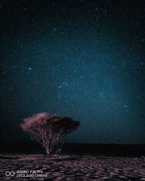 Background Padang Pasir Malam Hari - Baground Padang Pasir - Diana Freytag