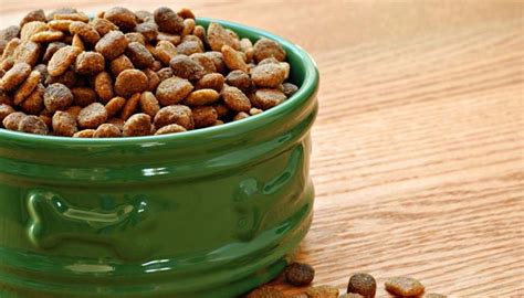 5 Best Natural Dog Food That's USDA-Certified & Healthy