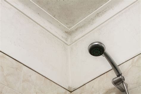 Cleaning Mold Spots On Bathroom Ceiling | Shelly Lighting