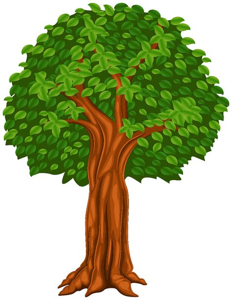 Cartoon Tree Png Transparent Top - IMAGESEE