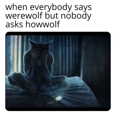 Sad wolf noises : memes