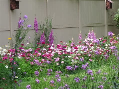 Wild flower garden | Backyard garden, Wildflower garden, Garden design