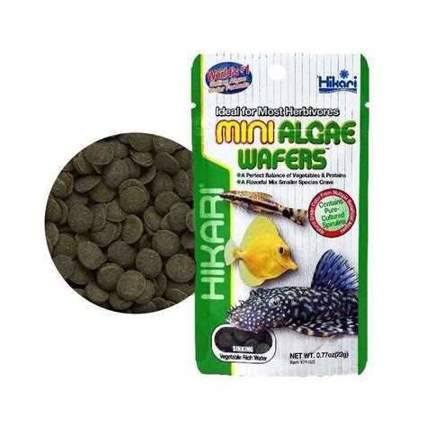 Aquarium Fish Food - Imcages.com