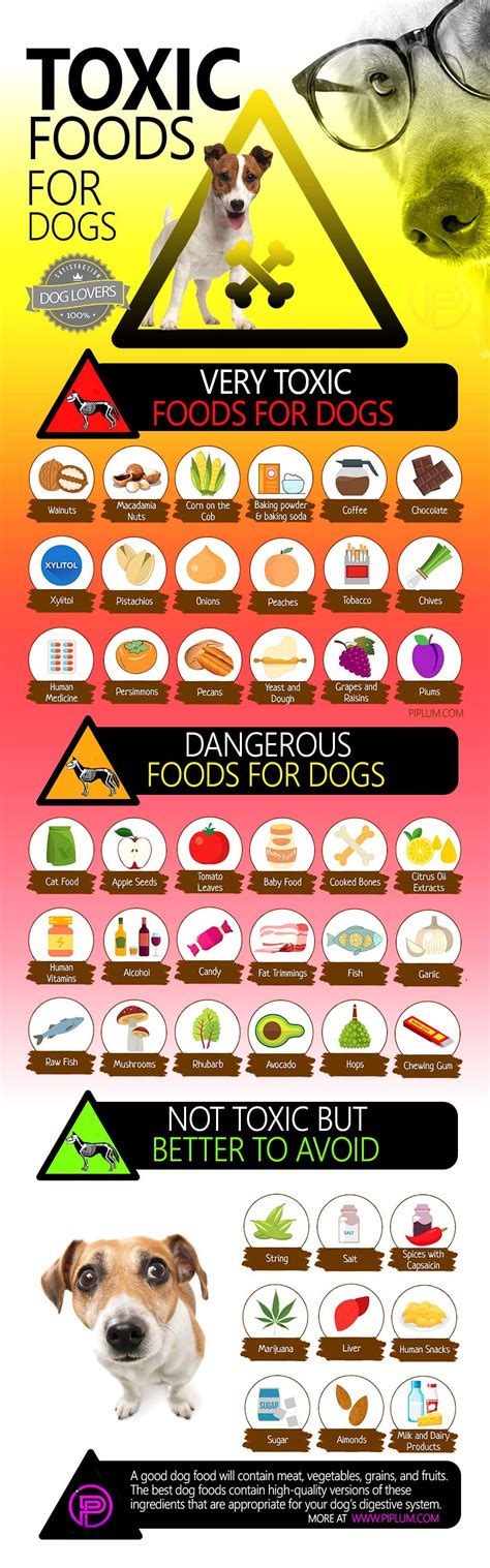 Take Care of Your Puppies. A-List of Toxic Foods For Dogs. [Poster]