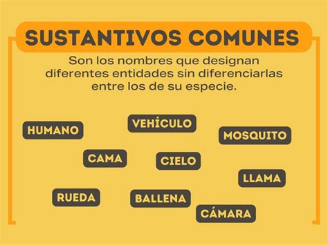 Sustantivos comunes: Qué son y Ejemplos - Enciclopedia Significados