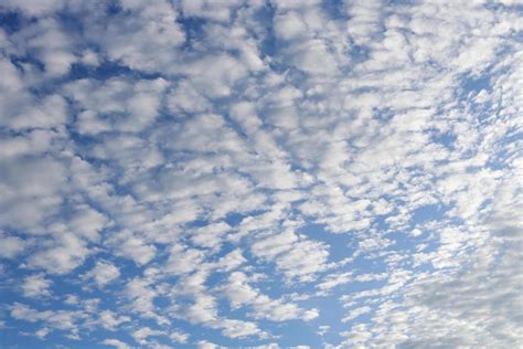 Altocumulus clouds and blue sky background. 7423698 Stock Photo at Vecteezy