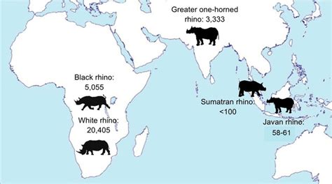 Do Rhinos Live in Nepal? - Vagabond Way