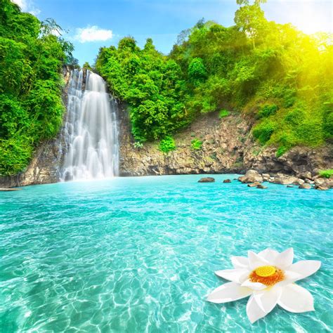 Most Beautiful Waterfalls With Flowers