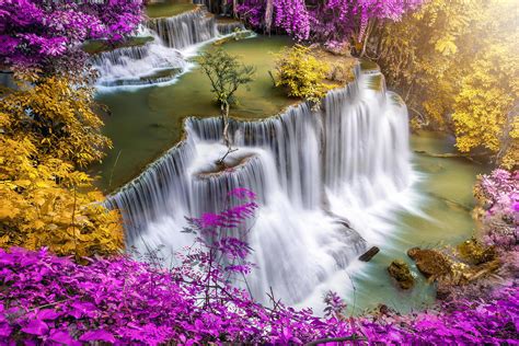 Beautiful waterfall nature scenery of colorful deep forest in summer ...