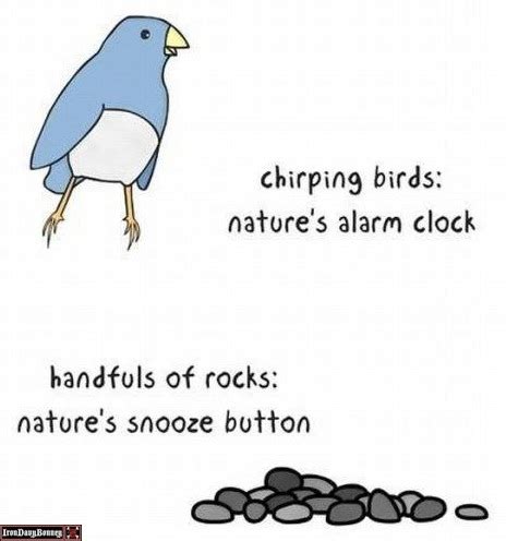 Chirping Bird is Nature's Alarm Clock - Picture | eBaum's World