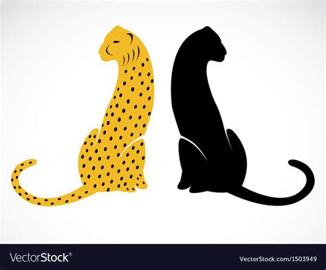 Cheetah Royalty Free Vector Image - VectorStock