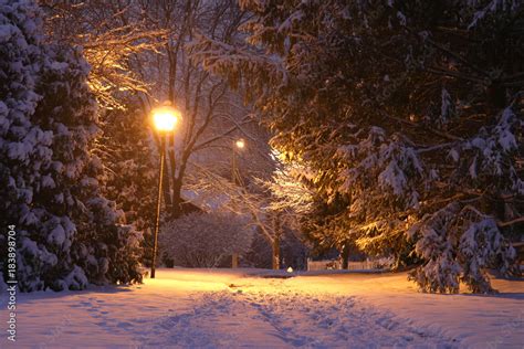 Foto de Beautiful winter night background. Beautiful winter evening landscape with footprints on ...