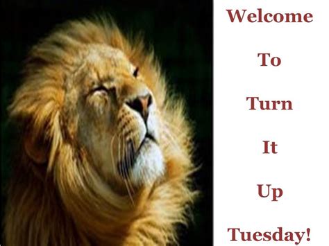 Let's Do Turn It Up Tuesday! | Keystrokes By Kimberly | Life, Style ...