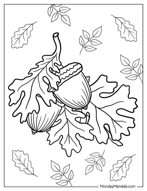 20 Fall Leaves Coloring Pages (Free PDF Printables)