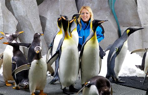 Global Madrasi: Snow penguins add to Dubai’s joy