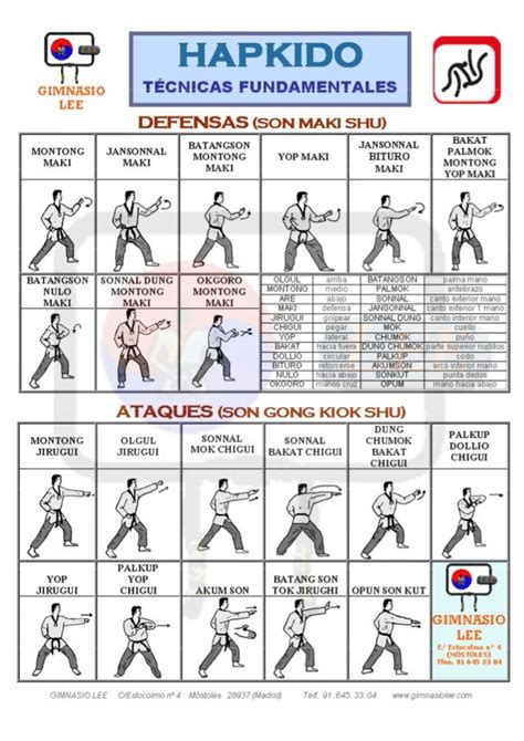 19 best Hapkido images on Pinterest | Hapkido, Marshal arts and Combat ...