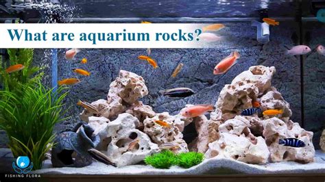 Aquarium Safe Rocks List [Essential Guide For Fish Keepers]