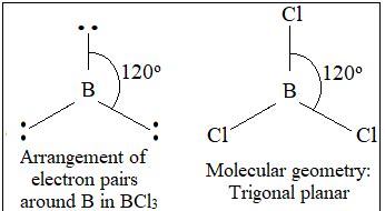 What is the value of the bond angles in BCl3? | Homework.Study.com