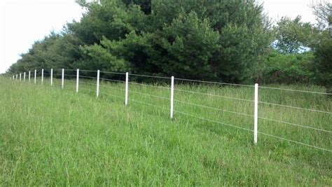 Electric Fence Wiring Gone Wrong